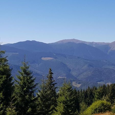 Міні Котедж Verchovyna Exteriör bild