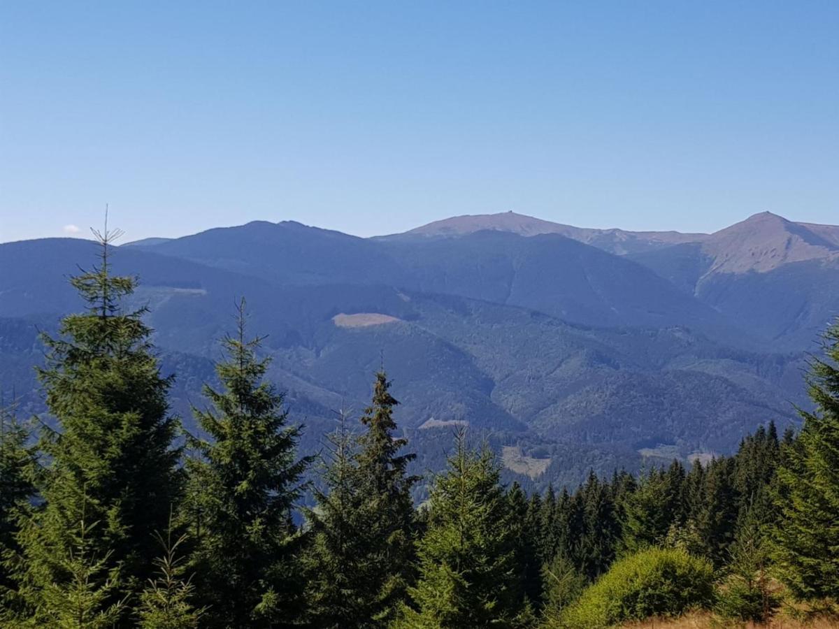 Міні Котедж Verchovyna Exteriör bild